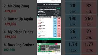 Grayhound Racing Tips How To Bet How To Play Grayhound Or Dog Race Tips By Waris screenshot 5