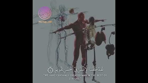 احمد العجمي⁦❤️⁩ سورة التين {والتين والزيتون} تلاوة مؤثرة