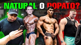 SONO NATURAL o DOPATO? | Intervisto Bodybuilders w/‪@leospolli ...