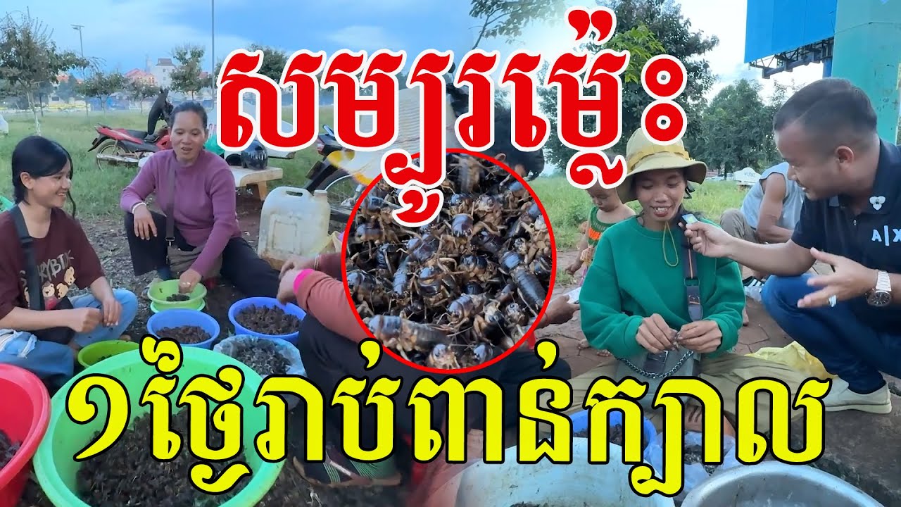 សម្បូរម៉្លេះ​ ១ថ្ងៃរកបានរាប់ពាន់ក្បាល​ សុទ្ធតែចង្រឹតដូងធំៗ