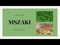 #14 Mszaki - mchy, budowa, cykl rozwojowy 🌱 matura biologia rozszerzona