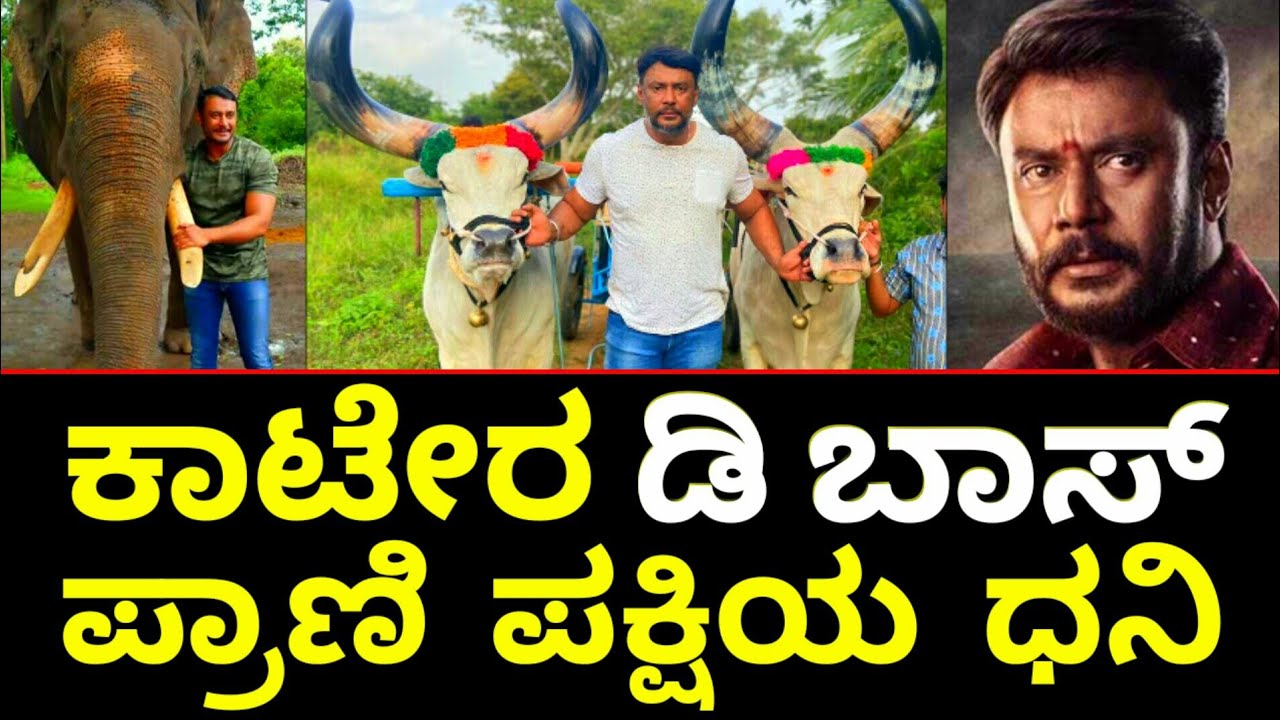 DARSHAN talking about ZOO ANIMAL ADOPTION | Save Wildlife | D BOSS KAATERA | Darshan |Vijayalanchana