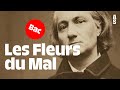 Les Fleurs du Mal, Charles Baudelaire | Bac français