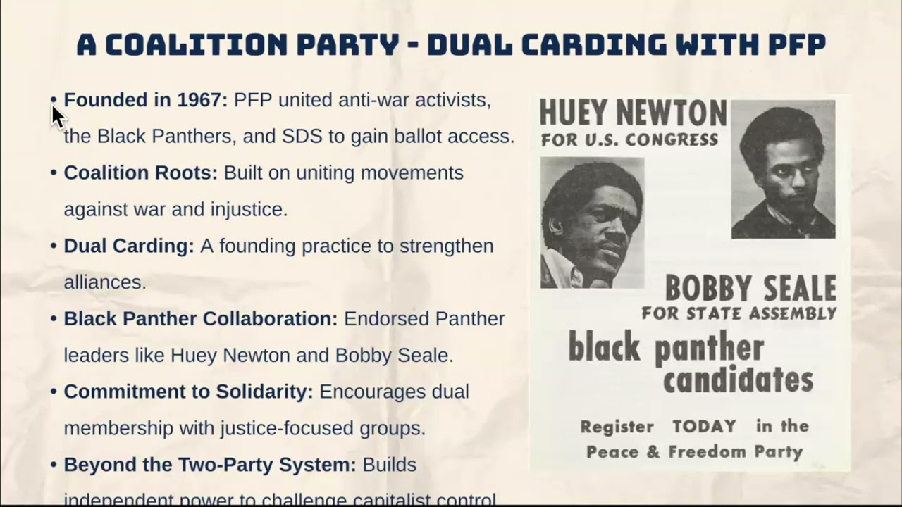 Peace and Freedom Party 101