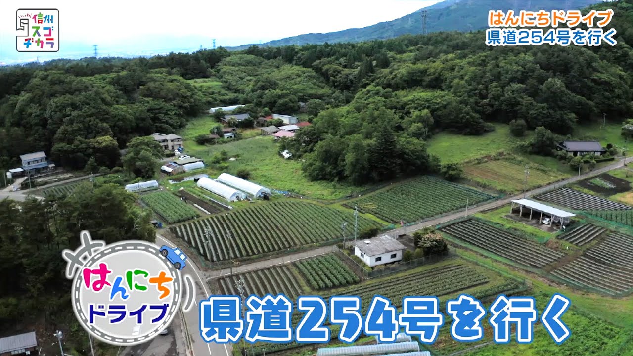 Like! Shinshu Sugodakara (Daytime Drive on Prefectural Route 254