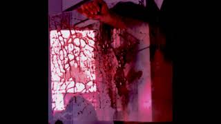 Alpha-27 - caress your path (OFFICIAL AUDIO)