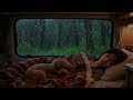 Cozy Rainy Forest Night 🌧️ Fall Asleep Fast with Soft Rain Sounds &amp; Cute Dog Companion (3 Hours)