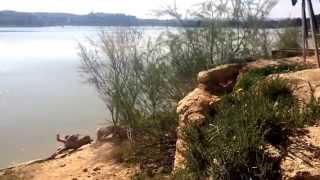 River Ebro big catfish fail/prank