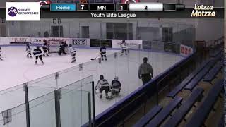 Hometown Hockey vs. MN Hockey Club - 2014s - Youth Elite League - 2:00PM BIG Rink 1