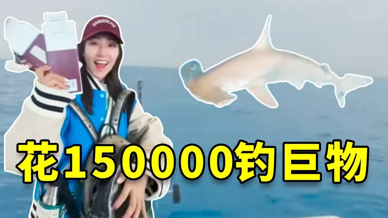 血亏150000！迈阿密追猎旗鱼，正主没见到，却把锤头鲨给“骗”上来了… 我人傻了！ #钓鱼 #fishing #大豪夫妇