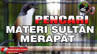 CENDET GACOR FULL ISIAN MEWAH TEMBAKAN TAJAM COCOK UNTUK MASTERAN, TENGKEK BUTO GEREJA KUNTILANAK