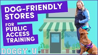DogFriendly Stores & Public Access Training Tips for Your Service Dog in Training