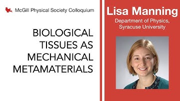 PSC 2021.02.19 Lisa Manning, Syracuse University