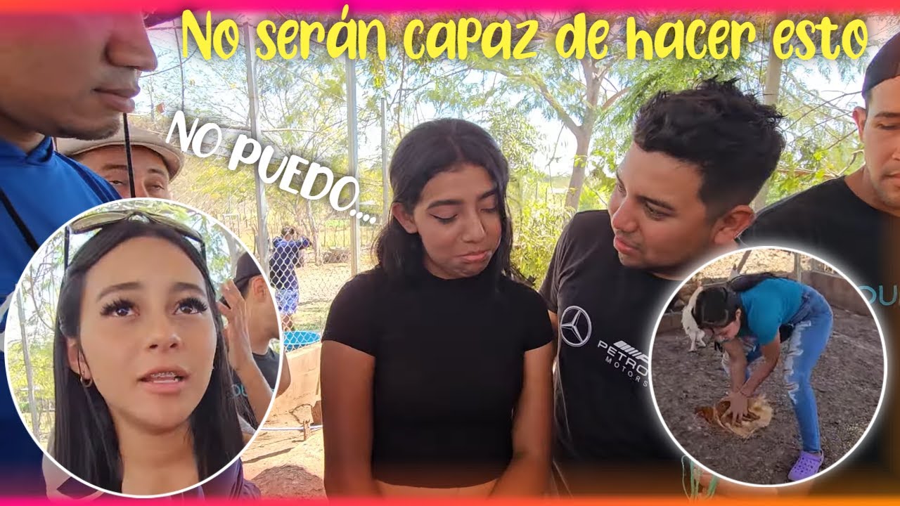 Las Bichas se ponen sencibles y no serán capaz de hacer este trabajo. Ya comenzó a llorar