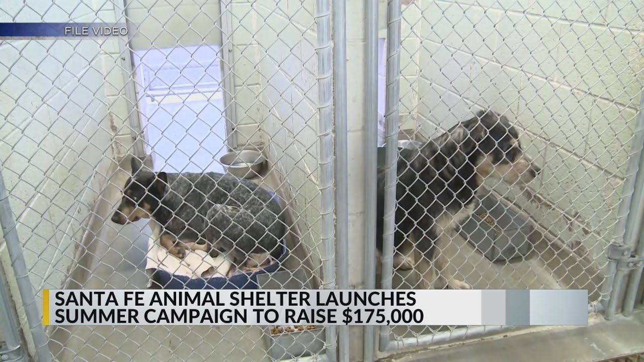 Santa Fe Animal Shelter works to raise $175,000 through June