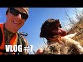 Quail Hunting Road Trip First Stop 👉 Texas 🌵 Gould Brothers VLOG