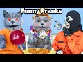 Youll see the coolest ideas for pranks ever oscars funny world  new funnys 2023