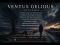 Ventus Gelidus (A Chilly Wind)