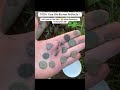 Roman Treasure found Metal Detecting in UK 🇬🇧 #shorts #romanempire #metaldetecting #treasure #fyp