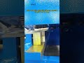Heavy duty sheet metal shear, hydraulic guillotine machine #shear #guillotine #cuttingmachine #cnc