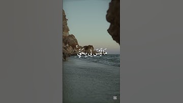 القارئ محمد اللحيدان بصوت رائع #اكسبلور #quran  #قران_كريم #قران #قرآن #كلام_الله #راحة_نفسية #شورتس