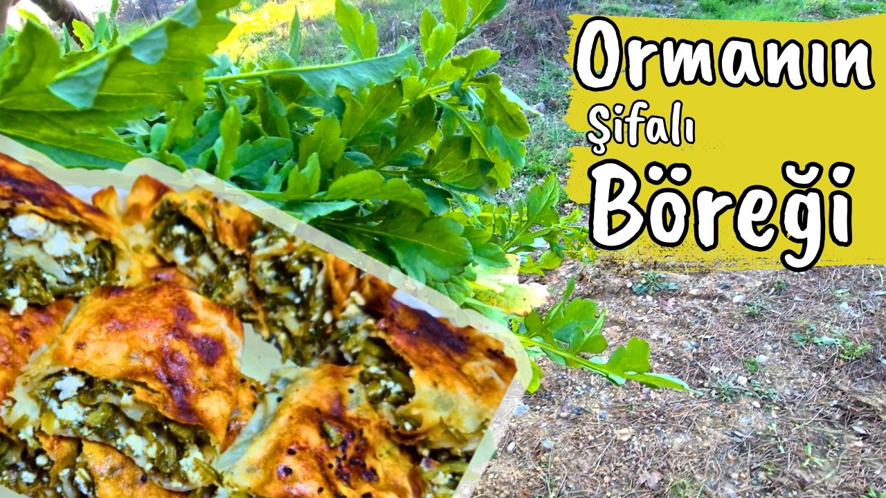Bugün Ormandan Beslendim! 🌲 Topladığım Yabani Otlarla Bol Harçlı Şifa Böreği