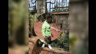 Sweet Dreams Audio Out Zedicus Dics