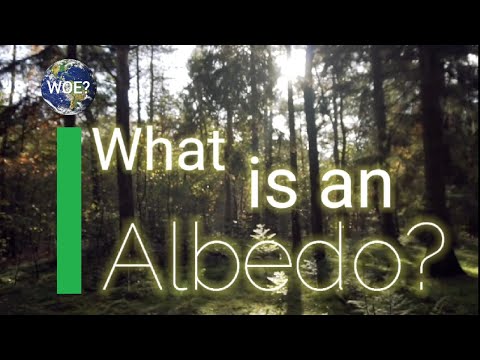 What is an
