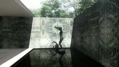 Tribute to Mies van der Rohe Barcelona Pavilion