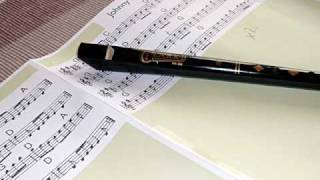 Scarborough Fair played on Penny Whistle (Tin Whistle) chords