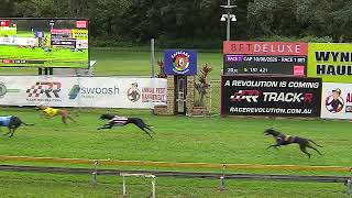 Capalaba-10062026-Race-1