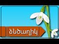 ձնծաղիկ |  Подснежник  | մանկական երգեր | Армянские детские песни | Mankakan erger