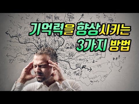 기억력을 향상시키는 3가지 방법 [뇌과학]