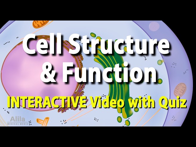 Biology Cell Structure And Function Quiz