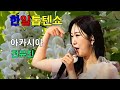 한일톱텐쇼 아카시아 전유진 원곡 서지오 한일톱텐쇼 아카시아 전유진 원곡 서지오