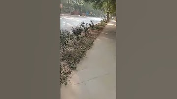 Ignou Solved Assignment BTS 2 2018-19