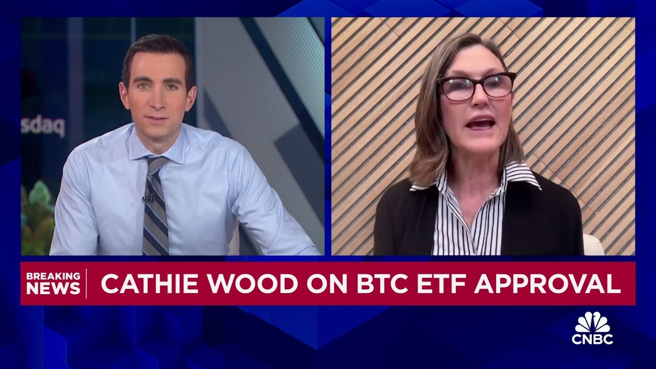 ARK Invest CEO Cathie Wood: We believe that bitcoin is a public good