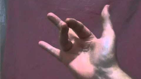 digital dexterity.mpg