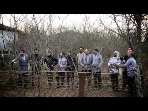 \"დღაში დო სერით სქანო ფიფქრე\" • ორსანტია(სამეგრელო)