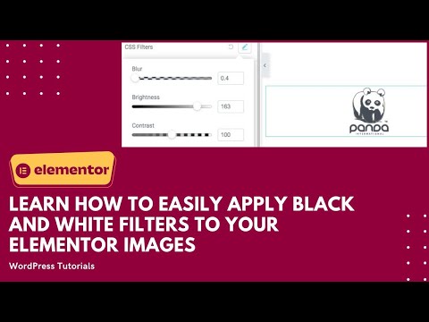 How to easily apply black and white filters to your Elementor images
