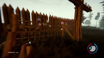 The forest turtle shell slide