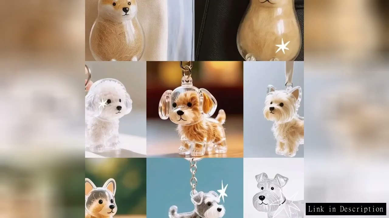 Dog Cat Hair Keychain Fur Container To Fill with Key Ring Accessories Capsule Pendant Storage Bag Pe