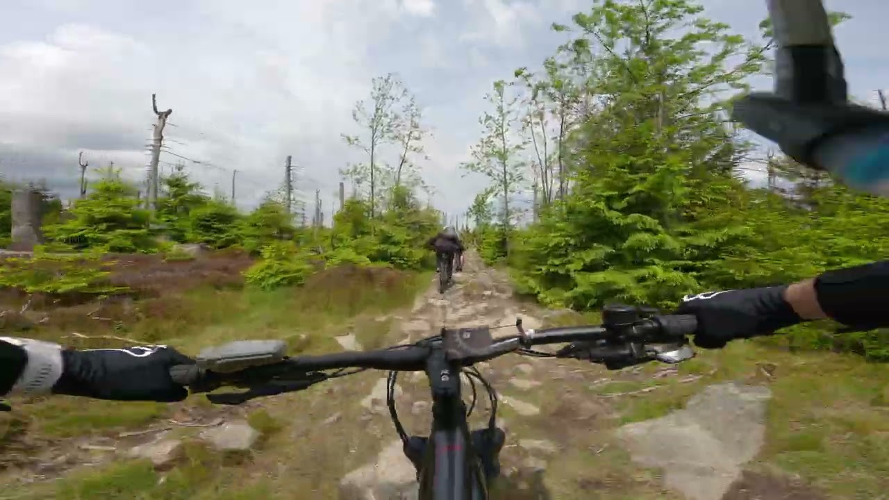 Guided MTB-Tour Harz 2025