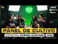 Panel de cultivo fitomejoramiento pheno hunting intersexualidad con felipe jarz y mati haze 95