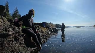 Best tour in Ketchikan, Alaska?