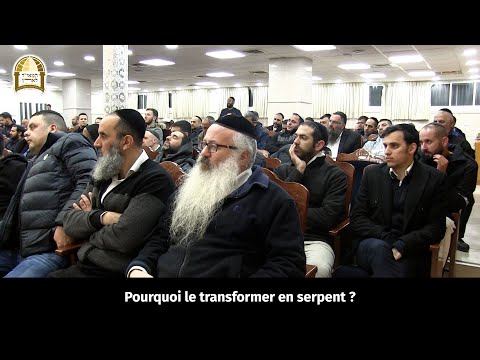 Pourquoi le bâton de Moché s'est transformé en serpent ? Un moment de lumière