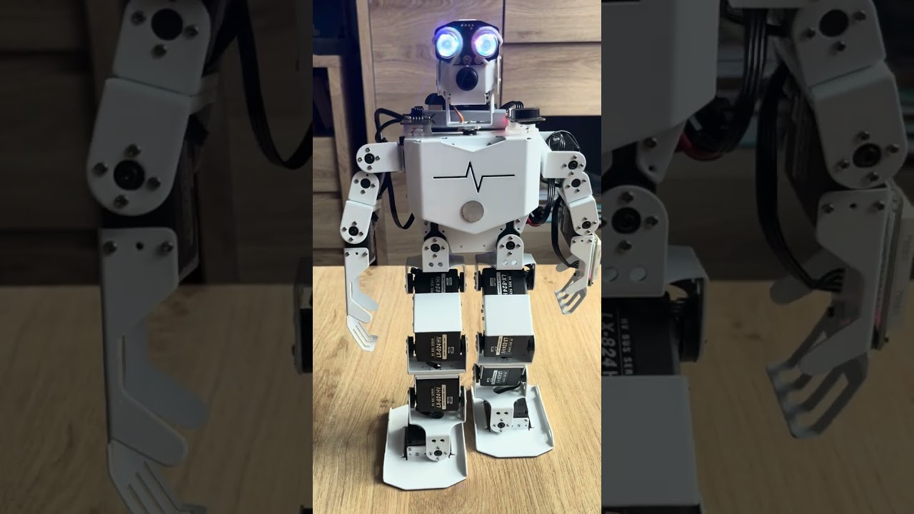 Modułu WonderEcho Pro AI Voice Interaction Box