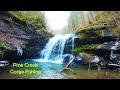 Back to the CANYON - Pine Creek Gorge Trout Fishing