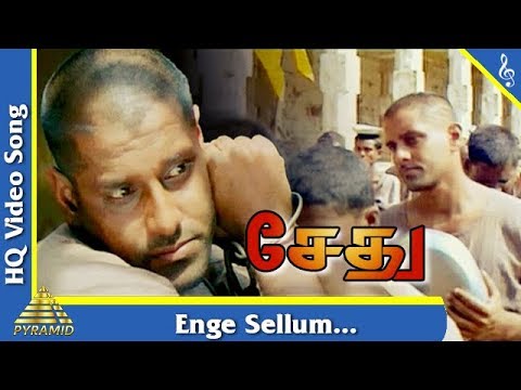 Enge Sellum Intha Pathai Video Song  Sethu Tamil Movie Songs  Vikram     Ilayaraja