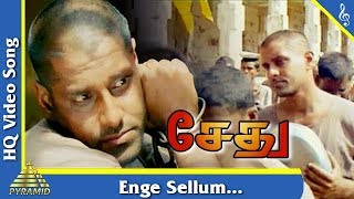 Enge Sellum Intha Pathai Video Song | Sethu Tamil Movie Songs | Vikram | எங்கே செல்லும் | Ilayaraja